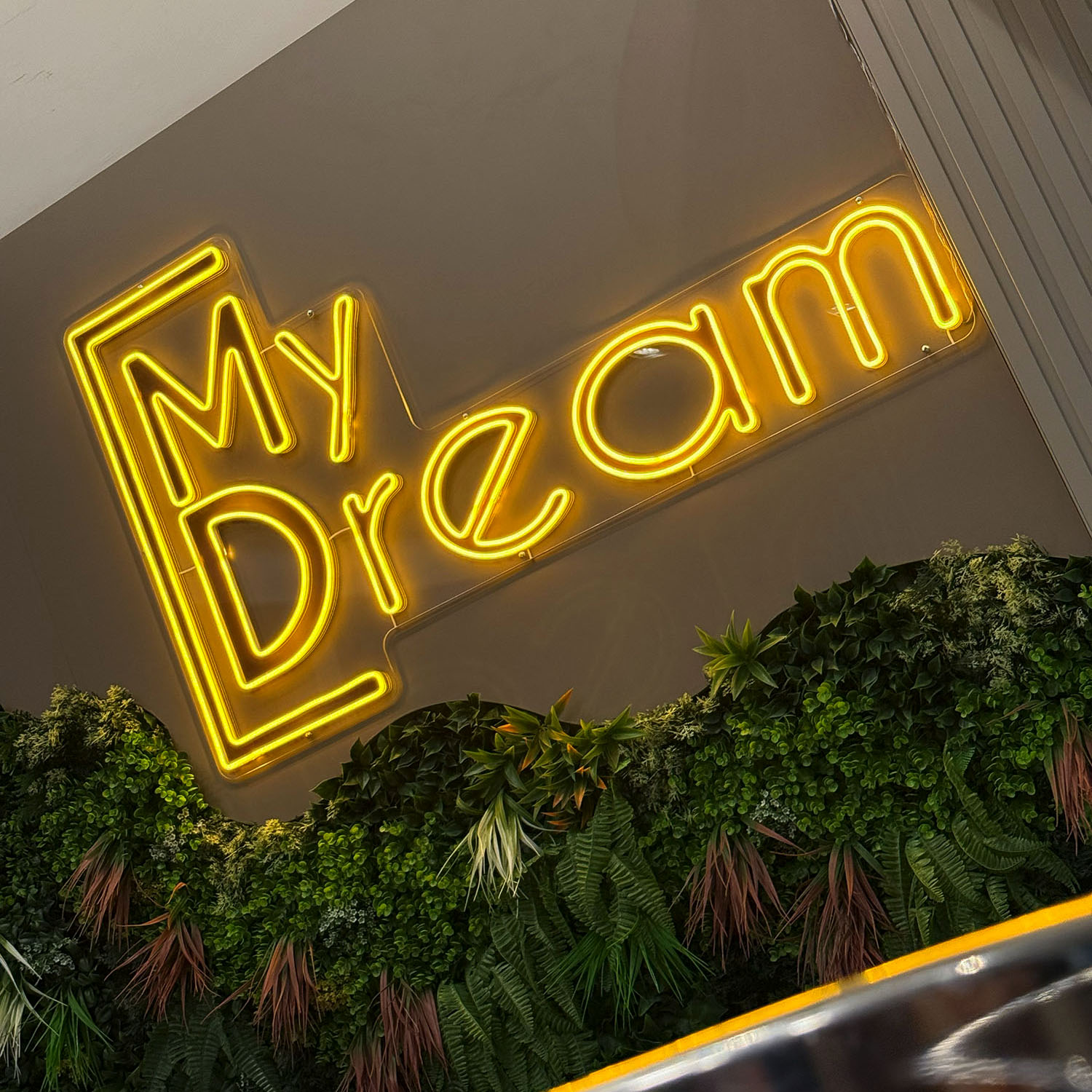 Vídeo Promocional My Dream Plástica Programada
